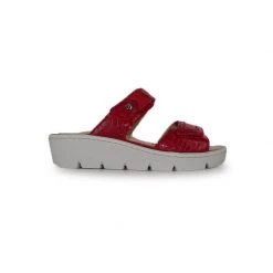 SABATINI Mules Pour Femme S1068